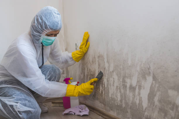 Mold Documentation for Insurance Claims in Stanton, CA